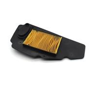 CIENUWPD Filtre d'admission d'air pour Moteur de Moto pour Honda NSS250 NSS 250 Forza250 MF08 2005-2007