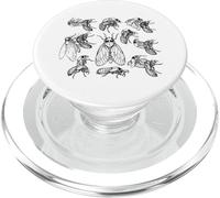 Cigales Cycle de Vie Vintage Science Cigale Bug Illustration PopSockets PopGrip pour MagSafe