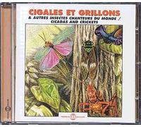 Cigales Et Grillons Et Autres Insectes Chanteurs Du Monde