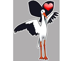 Cigogne coeur Alsacien - 15x11,4cm - Autocollant(sticker)