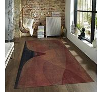 CIHCOHOME Dark Red Room Decor Carpet pour Enfants Tapis Paul Klee Art Style Area Tapis pour Hommes Garçons Chambre Entrée Petit Tapis de Chaise de Jeu pour Porte de Sol 160x220cm