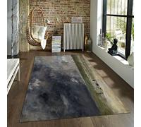 CIHCOHOME Eugene Boudin Style Tapis Paysage Naturel Nuages Sombres Tapis Ultra Doux Tapis D’intérieur pour Salon Tapis À Poils Courts Tapis Antidérapants 120x180cm