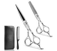 CIICII Ciseaux Coiffure Professionnel, 440C 6,7 Pouces Ciseaux de Coiffure
