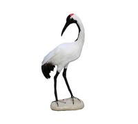Ciieeo 1pièce Ornement Oiseau Plume Artificielle Danfeng Décoratif Crane Rouge Accessoire Photo pour Bureau Et Maison