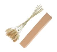 Ciieeo 30 Pièces Queue de Lapin Séchée Naturelle Décoration DIY en Herbe Composition de Fleur pour Mariage et Maison Accessoire Ornemental sans Entretien Boîte Présent Incluse