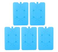 Ciieeo 5pcs Blocs de congélation réutilisables pour Sacs isothermes et glacière, Source de Froid Stable, adaptés pour et Aliments en Voyage