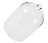 Ciieeo Bocaux en Verre avec Couvercle Guirlandes Ampoules Décoration Aérienne Clôture Vignes Solaires Mangeoire Mini-Cloche Pièce Maîtresse Nuit s'il Vous Plaît