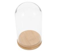 Ciieeo Cloche Verre Transparente pour Présentation De Plantes Pot De Fleurs Verre Et Conteneur De Culture pour Plantes Soi-même