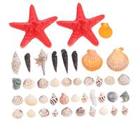Ciieeo Coquillages Naturels pour Décoration Coques De Plage Escargots De Mer pour Aquarium Et Micro-Paysage