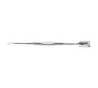 Ciieeo Extracteur de Points Noirs Outil Manuel Double Tête en Acier Inoxydable Argenté pour Nettoyage Complet des Pores, Usage Professionnel en Salon Domicile