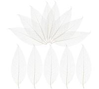 Ciieeo Feuilles Squelettes Naturelles Magnolia 400 Pièces Feuilles Séchées Blanches Accessoires DIY Artisanat Scrapbooking Décoration Mariage Cartes De Voeux