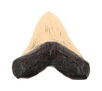 Ciieeo Figurine Dent de Mégalodon Résine Réaliste Décoration Éducative pour Collectionneurs Musées et Écoles Ornement pour Intérieur et Bureau