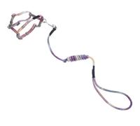 Ciieeo Harnais et Laisse pour Chat Harnais et Laisse pour Chaton Réglable en Polyester et Nylon, Longueur Ajustable, Léger, pour Chat et Petit Chien, Extérieur, à Glisser Un Paquet
