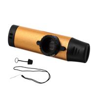 Ciieeo Kazoo en Métal Doré Portable pour Adultes et Débutants Instrument de Musique Compact Léger pour Scène Ukulélé et Guitare Sonorité Brillante et Présent Musical