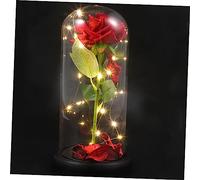 Ciieeo Lampe LED Rose avec Pétales Tombés Un Verre Base Lampe De Bureau Décorative pour Fête Anniversaire De Mariage Ou Club