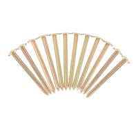 Ciieeo Lot de 12 Piquets D'arpentage Galvanisés 10 Cm en Acier, Piquets de Levé Topographique Délimitation pour Jardin, Extérieur et Chantier, Outils de Fixation Robustes et Précis