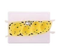 Ciieeo Modèle de Cellule Végétale Épidermique D’Oignon Agrandi - Modèle Pédagogique Anatomique de Structure Cellulaire Végétale pour Démonstration en Classe Outil Éducatif Scientifique