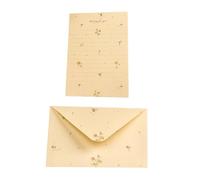 Ciieeo Papier à Lettres Vintage 20 Pcs Kit 10 Enveloppes et 10 Feuilles Petit Format Motif Fleurs pour Correspondance Saint-Valentin Bureau et Papeterie