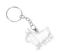Ciieeo Porte-Clés Commémoratif pour Poils D’Animaux en Alliage Léger Boîte Souvenir Portable Transparente Accessoire Mémorial pour Chiens et Chats Présent Tendre pour Amoureux des