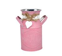 Ciieeo Pot de Fleurs en Fer Rond Style Jardin, Résistant la Déformation, pour Succulentes et Cactus, Décoration Chic pour Bureau Salon