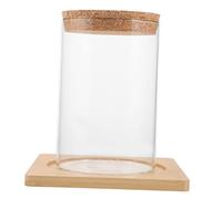 Ciieeo Terrarium Verre Bouchon Contenant pour Plantes Hydroponiques Micro Vase Décoratif Verre pour Maison sous Plat
