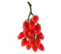 Ciieeo Tomates Cerise Artificielles Décoratives Fruits Factices pour Maison Accessoires De Photo Réaliste