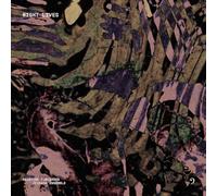 Cikada Ensemble - Night Lives