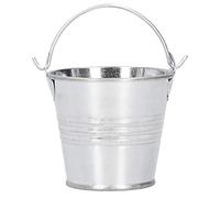 Cikonielf 10 pièces Pot de Fleur Mini Pot de Plante succulente Petit Seau en métal pour intérieur extérieur décor comme Une Petite décoration sur Votre Porche arrière-Cour(4*5.5*6-Argent Brillant)