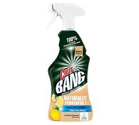 Cillit Bang Spray Naturellement Puissant Salle de Bain 750 ml