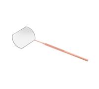 Cils Détachable Acier Inoxydable Outil de Pratique pour Extensions de Cils Accessoire de Beauté Rose pour Salons et Utilisation