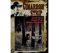 LAST WOLF-VN
