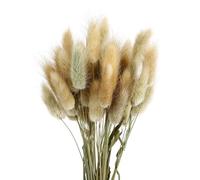 CIMAXIC 50pièces Bouquet de Fleurs Séchées Naturelles Décor Maison avec Queues de Lapin Plante Ornementale Pastorale pour Photo et Événement