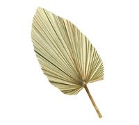CIMAXIC Décoration Murale 1pc Feuille de Palmier Séchée Naturelle en Matériau Synthétique Aspect Frais et Sain pour Mariage et Fête Vin