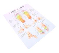 CIMAXIC Poster de Réflexologie Plantaire Médical Affiche Éducative Massage Savoir pour Bureau et Décoration Murale
