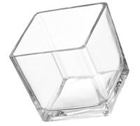 CIMAXIC Pot Décoratif en Verre Transparent pour Plantes Succulentes et Fleurs Fraîches Vase Cube Moderne et Élégant pour Cheminée ou Présent