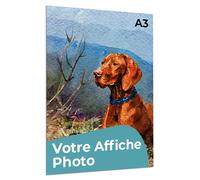 Cimpress Poster imprimable personnalisé, Art mural vertical avec photo et texte - Design personnalisé sur A4, A3, A2, A1, B2 - Pour la maison, le bureau ou les cadeaux (A3 (29.7 x 42cm))