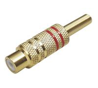 Cinch/RCA femelle, droit TRU COMPONENTS 1577781 Nombre de pôles: 2 mono rouge