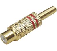Cinch/RCA femelle, droit TRU COMPONENTS 1577781 Nombre de pôles: 2 mono rouge 1 pc(s)