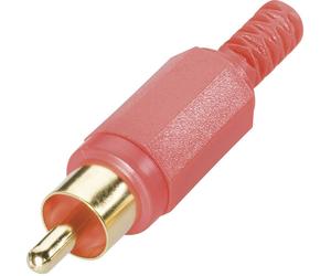 Cinch/RCA mâle, droit BKL Electronic 0104004/T Nombre de pôles: 2 noir