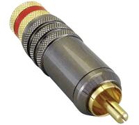 Cinch/RCA mâle, droit TRU COMPONENTS 1582678 Nombre de pôles: 2 rouge 1 pc(s)