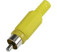 Cinch/RCA mâle, droit TRU COMPONENTS 595231 Nombre de pôles: 2 jaune