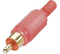 Cinch/RCA mâle, droit TRU COMPONENTS TC-2518004 Nombre de pôles: 2 rouge 100 pc(s)