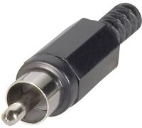 Cinch/RCA mâle, droit TRU COMPONENTS TC-2518009 Nombre de pôles: 2 jaune 100 pc(s)