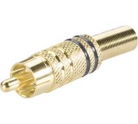 Cinch/RCA mâle, droit TRU COMPONENTS TC-2518023 Nombre de pôles: 2 noir 50 pc(s)