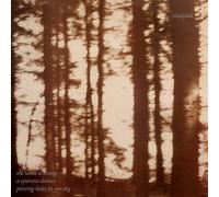 Cindytalk The Wind Is Strong... (CD) Album