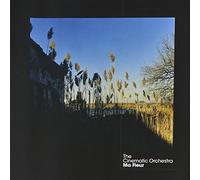 The Cinematic Orchestra - Ma Fleur