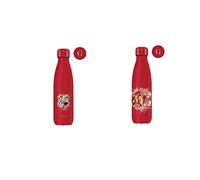 Cinereplicas, Bouteille isotherme Casa Gryffindor 500 ml de Harry Potter