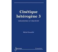 Cinétique Hétérogène 3 : Mécanismes Et Réactivité