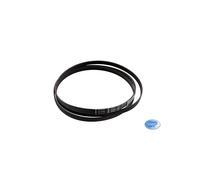 Cinghia 1886 H7 Pour Sèche-Linge REX Electrolux Original 8091838014
