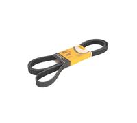 Cinghia Services Continental Volkswagen Touareg 3.0